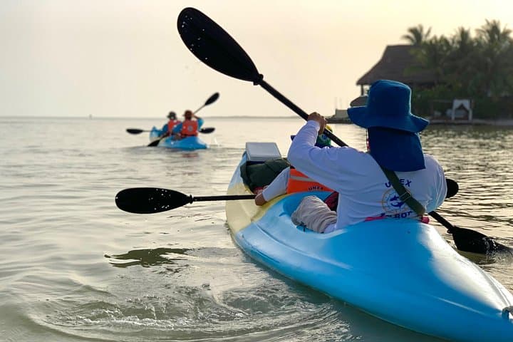 Kayak the Mangroves of Isla Holbox: Guided Wildlife & Canal Expedition photo 2