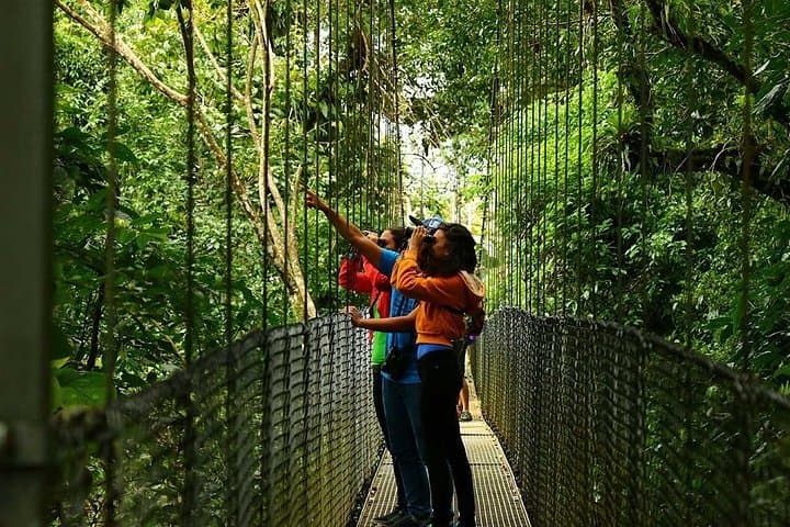 Arenal Hanging Bridges, Lava Hike & La Fortuna Waterfall — Full-Day Adventure photo 3