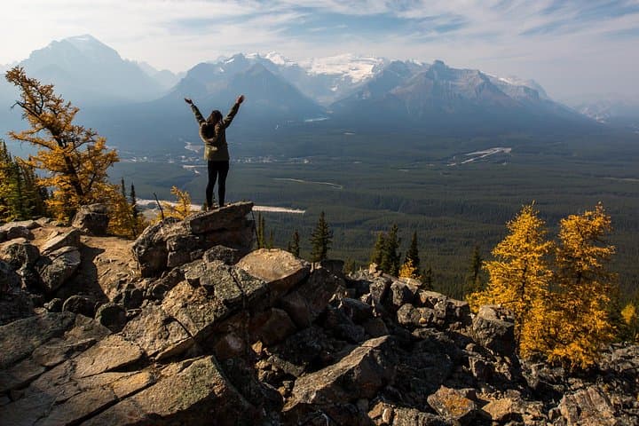 Lake Louise Summer Gondola: Alpine Views, Glaciers & Bear Watching at 2101m photo 2