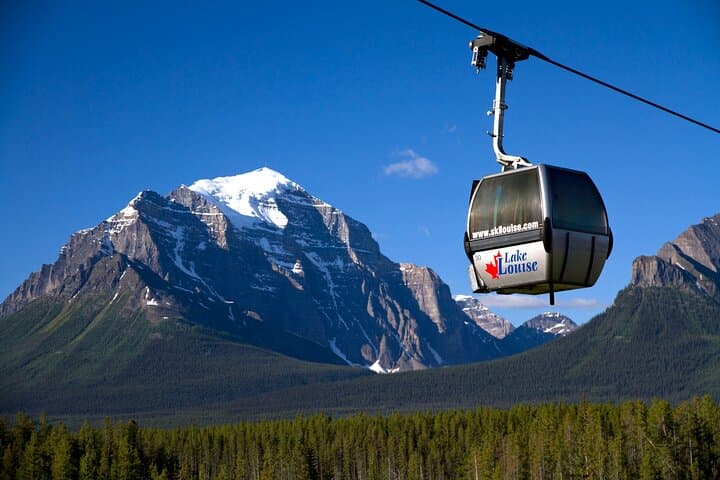 Lake Louise Summer Gondola: Alpine Views, Glaciers & Bear Watching at 2101m photo 6