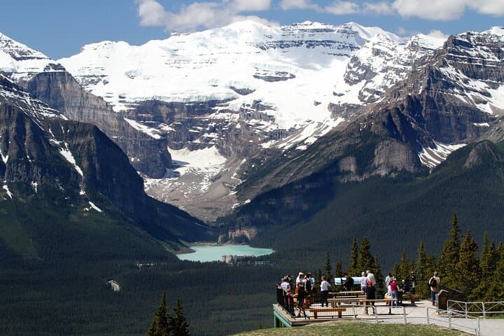 Lake Louise Summer Gondola: Alpine Views, Glaciers & Bear Watching at 2101m