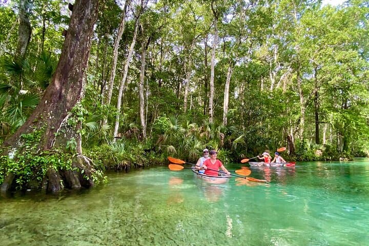 Clear Kayak Tours in Weeki Wachee: Paddle Spring-Fed Rivers with Manatees photo 5