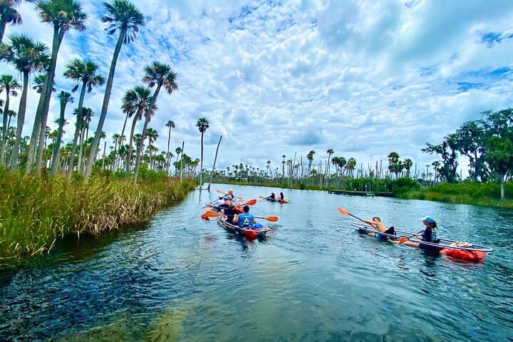 Clear Kayak Tours in Weeki Wachee: Paddle Spring-Fed Rivers with Manatees photo 6