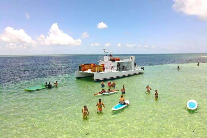 Key West Sandbar & Mangrove Kayak Combo — Sandbar Charter with Lunch and Drinks photo 3