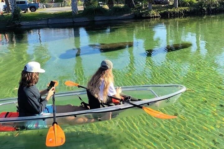 Clear Kayak Tours in Weeki Wachee: Paddle Spring-Fed Rivers with Manatees photo 2