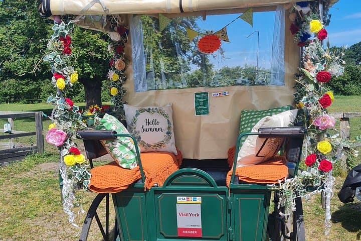 Private Horse-Drawn Carriage Ride at Escrick Park Estate near York