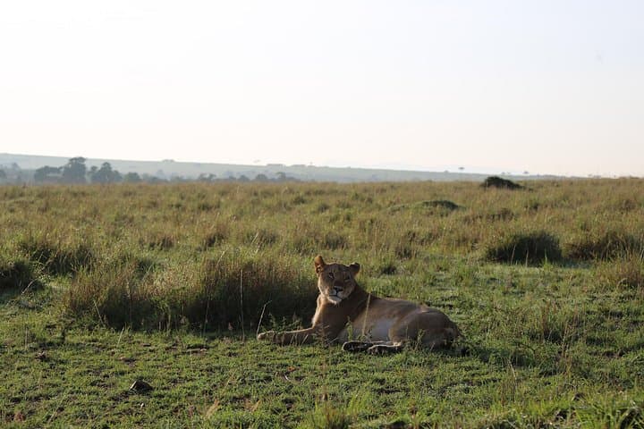 2-Day Tsavo East Safari from Mombasa & Diani — Overnight Wildlife Drive photo 3