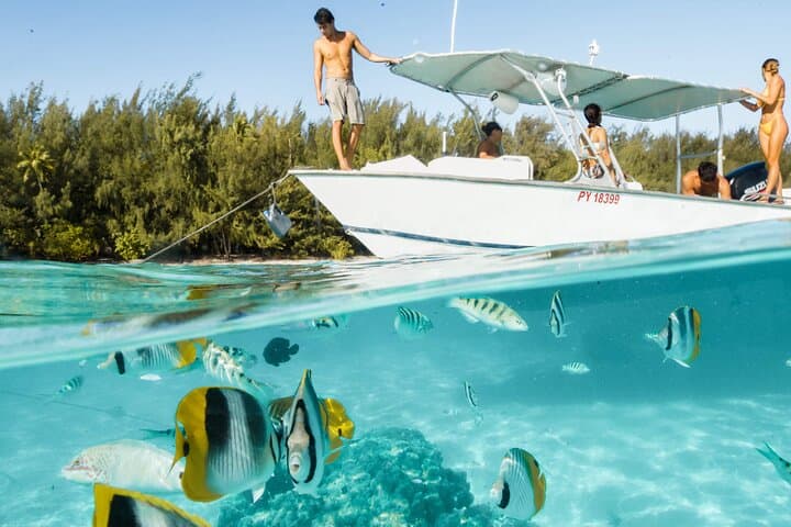 Moorea Lagoon Snorkel: Small-Group Tour with Lunch