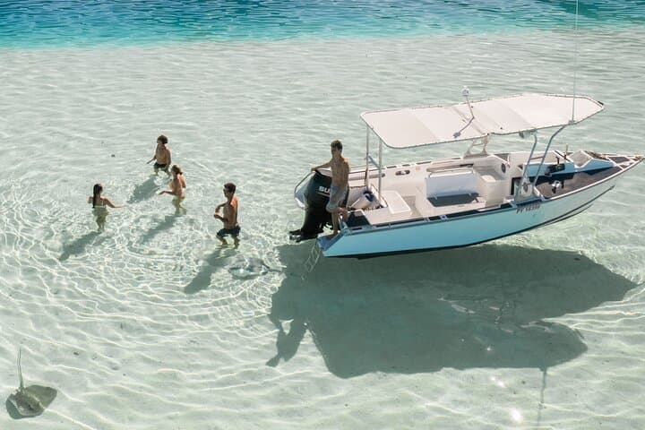Moorea Lagoon Snorkel: Small-Group Tour with Lunch photo 2