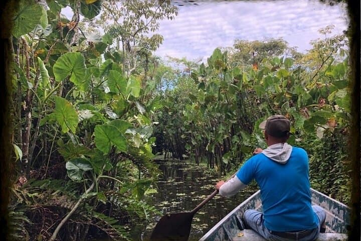 3-Day Amazon Rainforest Adventure from Iquitos: Nauta, Yarapa & Wildlife photo 3