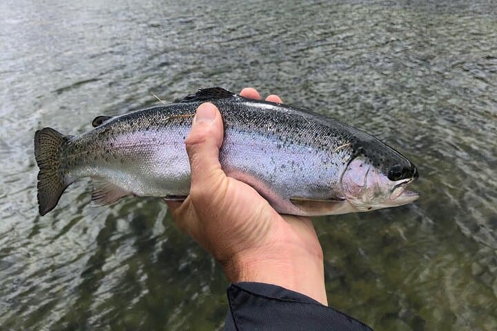 4-Day Trout Fly Fishing in Nor-Yauyos Cochas Reserve — Andes Fly-Fishing from Lima photo 4