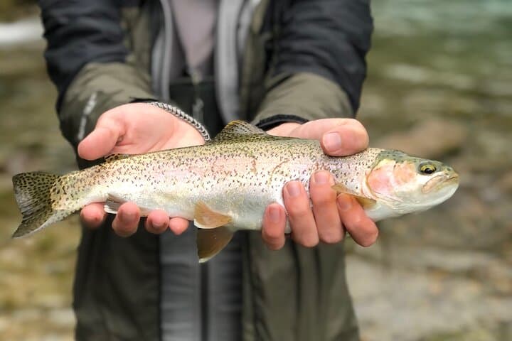 4-Day Trout Fly Fishing in Nor-Yauyos Cochas Reserve — Andes Fly-Fishing from Lima photo 5