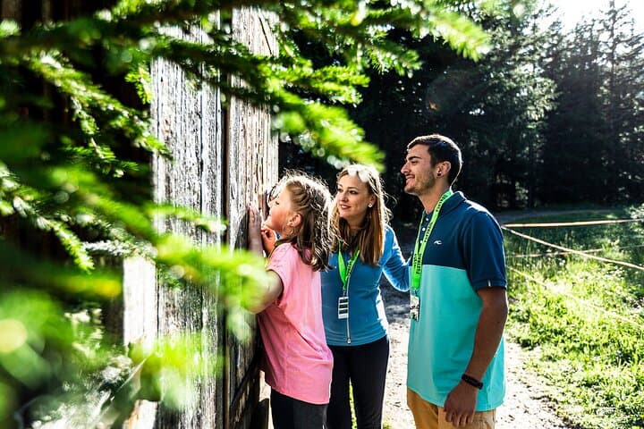 Compass Trail Foxtrail Scavenger Hunt — Yaletown Vancouver Walking Adventure