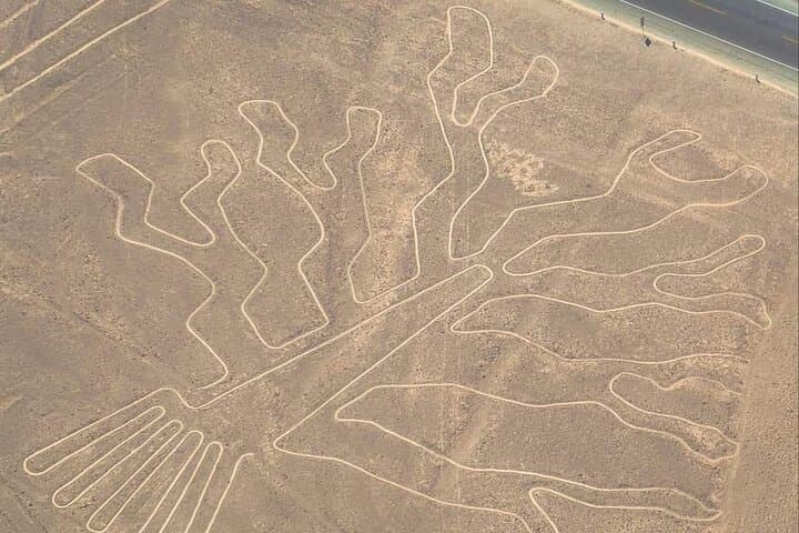 Nazca Lines Overflight from Ica: Flight Tour to the Ancient Geoglyphs photo 5