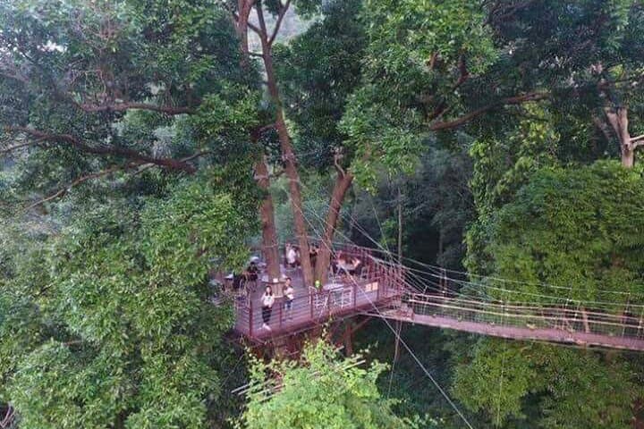 Soaring the Koh Samui Canopy: Half-Day Zipline Adventure photo 5