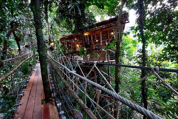 Soaring the Koh Samui Canopy: Half-Day Zipline Adventure photo 6