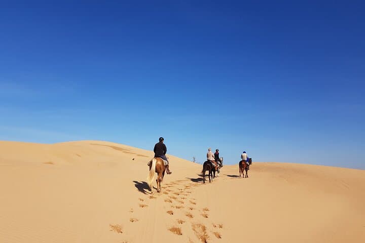 Essaouira 3-Hour Private Horseback Ride: Beach, Forest & Dunes