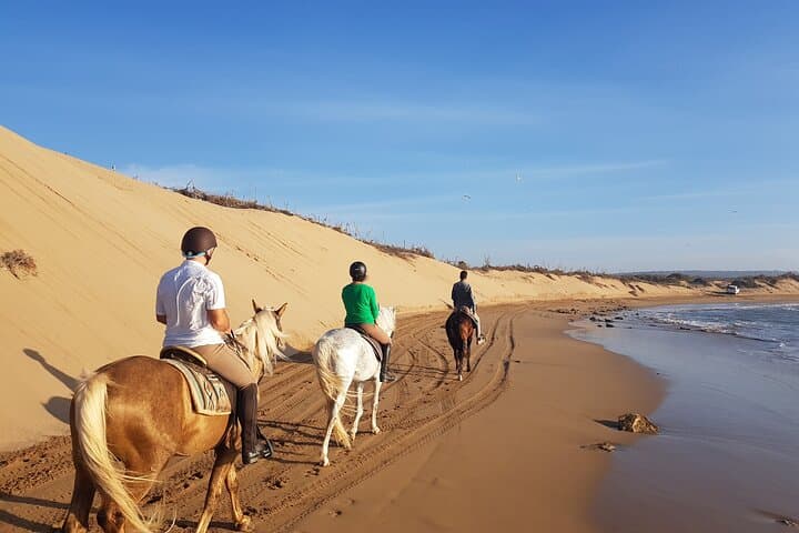 Essaouira 3-Hour Private Horseback Ride: Beach, Forest & Dunes photo 6