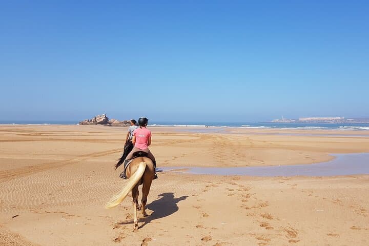 Essaouira 3-Hour Private Horseback Ride: Beach, Forest & Dunes photo 2