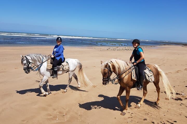 Essaouira 3-Hour Private Horseback Ride: Beach, Forest & Dunes photo 4