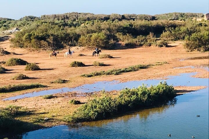 Essaouira 3-Hour Private Horseback Ride: Beach, Forest & Dunes photo 5