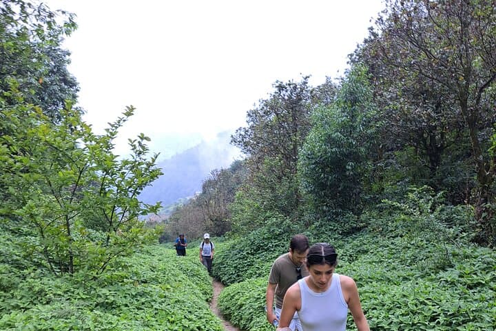 Chandragiri One-Day Trek: Kathmandu Rim Hike with Cable Car Views photo 5
