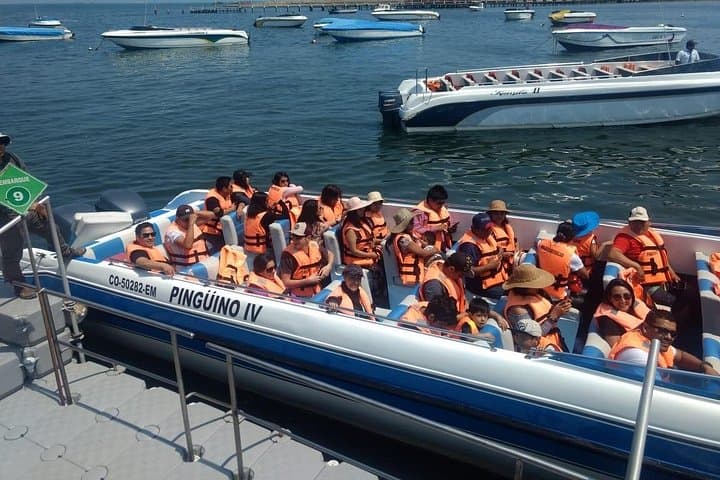 Private Car & Driver: Full-Day Paracas, Ballestas & Huacachina Dunes from Lima photo 3
