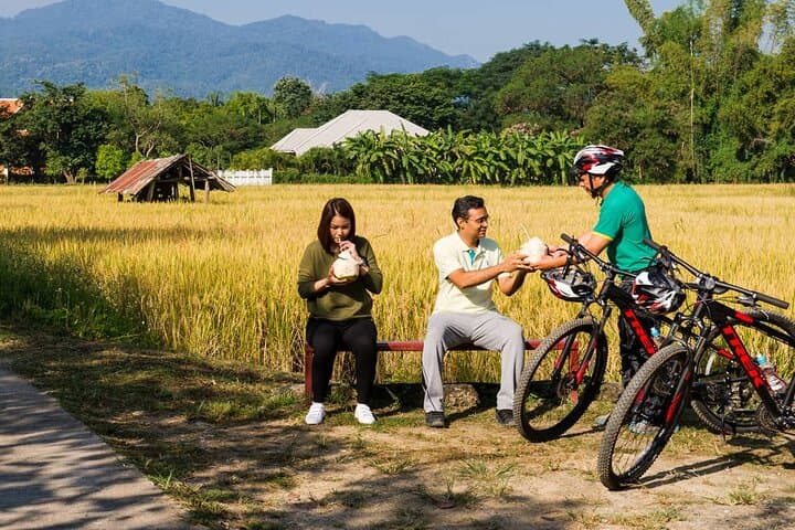 Chiang Mai Countryside Bike Tour & Thai Cooking Class (Private) photo 4