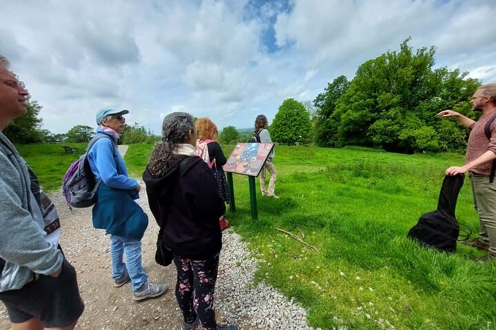Glastonbury Tree Walk: Guided Nature Stroll, Poetry & Tor Climb photo 2