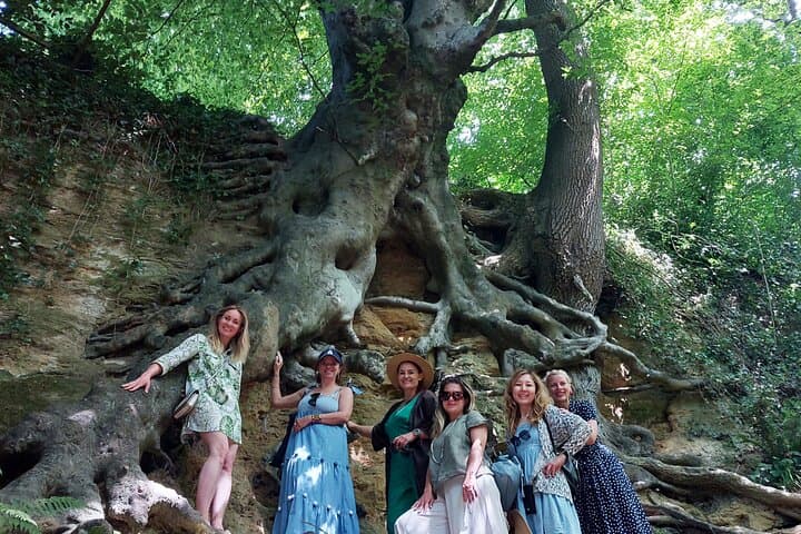Glastonbury Tree Walk: Guided Nature Stroll, Poetry & Tor Climb