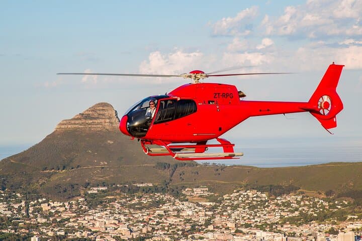 Cape Peninsula Helicopter Day Tour: Penguins, Cape Point & Gourmet Lunch from Cape Town photo 4