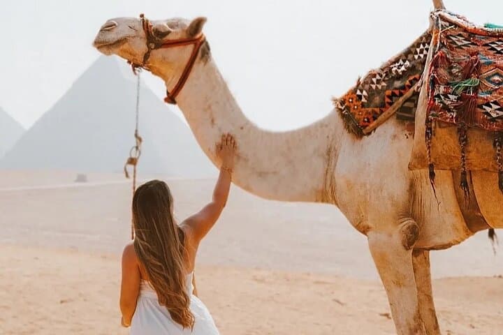 Full-Day Giza Pyramids, Sphinx, Egyptian Museum & Sunset Felucca — Private Cairo Tour photo 2