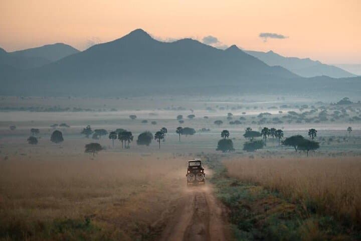 15-Day Uganda Classic Safari — Gorillas, Murchison Falls & Lake Bunyonyi photo 2