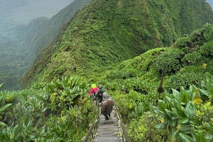 15-Day Uganda Classic Safari — Gorillas, Murchison Falls & Lake Bunyonyi photo 3
