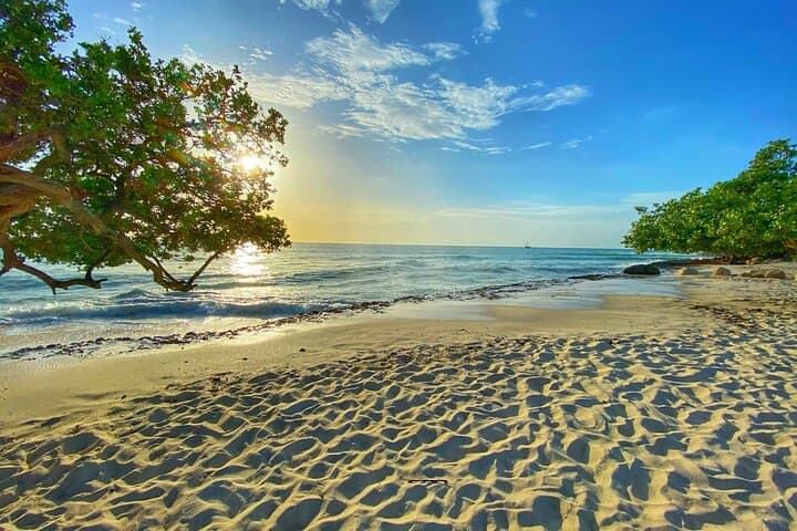 Aruba Healing Counseling: Private Nature Sessions for Stress Relief photo 2