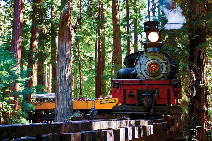 Exploring Oregon’s Redwood Giants and Crater Lake: A 3-Day Adventure from San Francisco photo 2