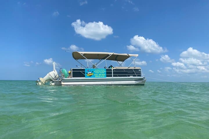 4-Hour Dolphin & Sandbar Cruise from Fort Myers Beach — Wildlife, Shelling, and Shallow Water Stops
