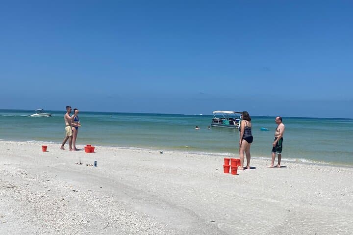 4-Hour Dolphin & Sandbar Cruise from Fort Myers Beach — Wildlife, Shelling, and Shallow Water Stops photo 3