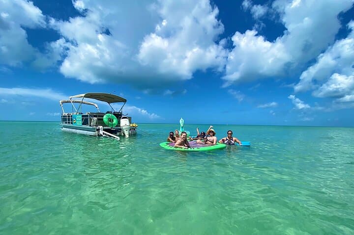 4-Hour Dolphin & Sandbar Cruise from Fort Myers Beach — Wildlife, Shelling, and Shallow Water Stops photo 5