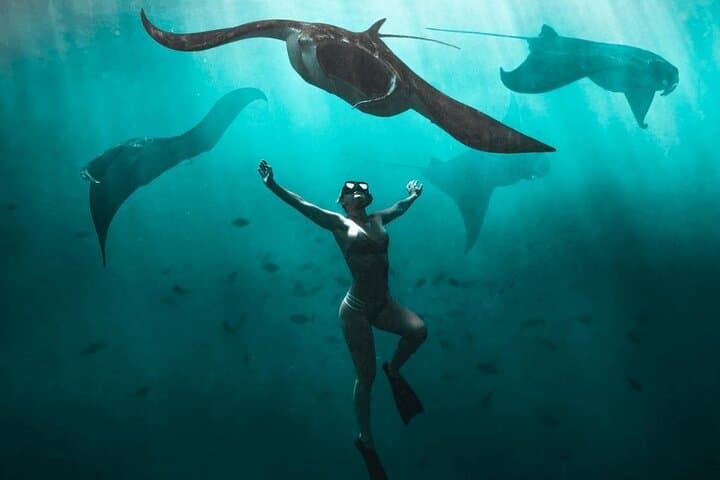 Snorkeling with Manta Rays in Nusa Penida — All-Inclusive Day Tour from Bali
