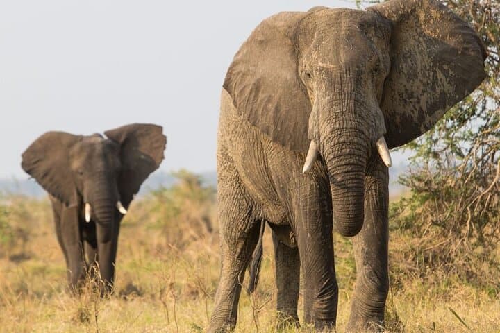 10-Day Private Tanzania Homestay & Mount Hanang Cultural Experience photo 3