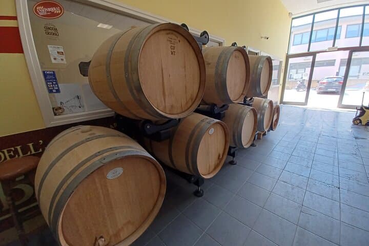 Elba E‑Bike Coastal Tour & Brewery Tasting from Portoferraio photo 3