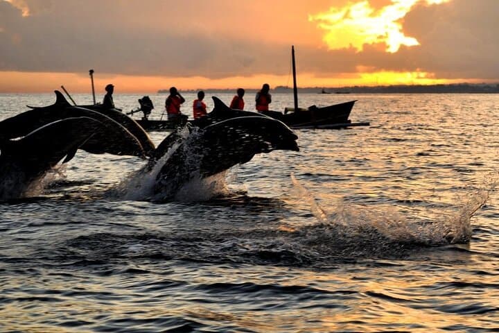 Dawn Dolphins and Gitgit Waterfall: North Bali Sunrise Swim & Snorkel photo 6