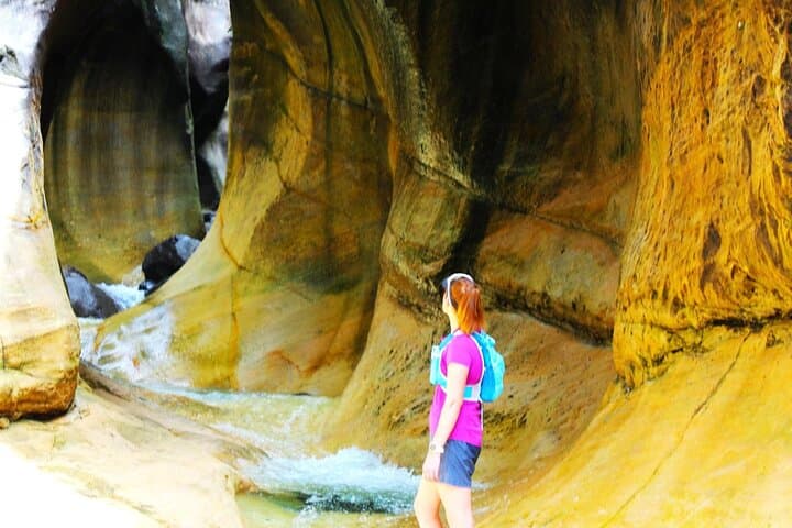 Tugela Gorge and Amphitheatre Hike — Thendele to the Drakensberg Sentinel
