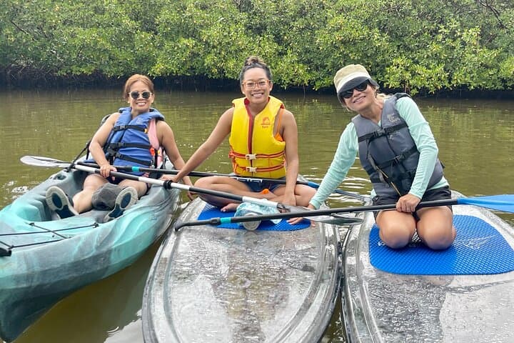 Paddle Big Hickory Island: Guided CLEAR Kayak & SUP Eco Tour in Bonita Springs photo 3