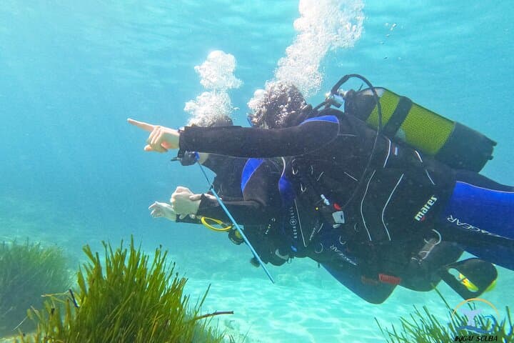 Mallorca Private Shore Scuba Dive with GoPro — Palma Bay Intro Dive