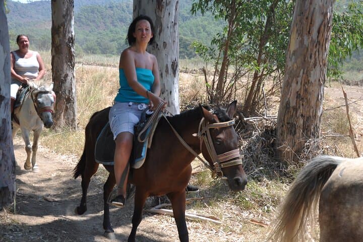 Marmaris Horse Safari — Half-Day Ride Through Pine Forests & Orange Groves photo 3