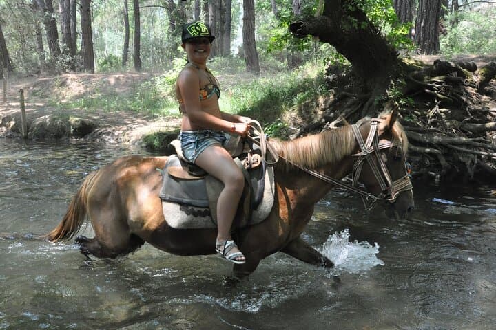 Marmaris Horse Safari — Half-Day Ride Through Pine Forests & Orange Groves photo 4