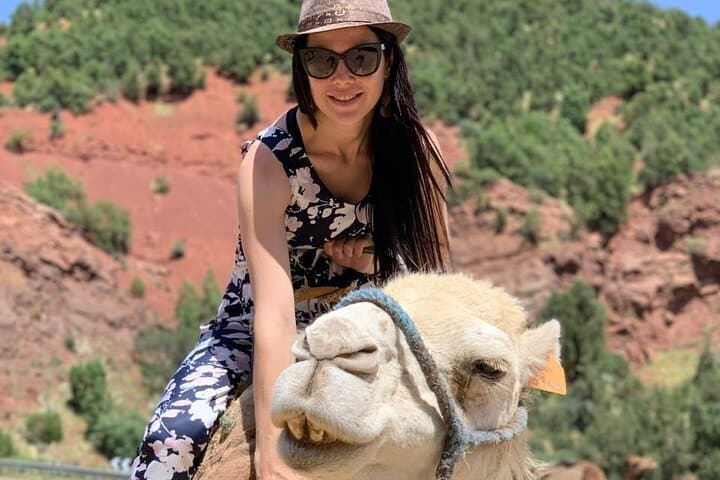 Three-Day Marrakech to Sahara Desert Tour: Atlas, Dunes & Berber Culture photo 4