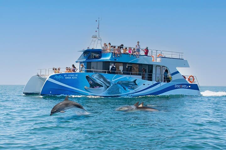 Half-Day Dolphin Watching Cruise from Lagos — Ponta da Piedade & Sea Caves